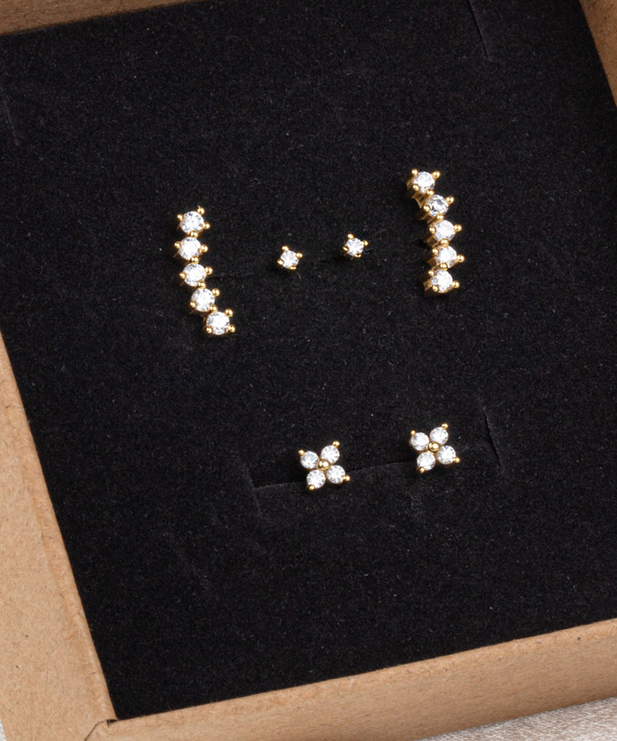 Gifting Earring Set