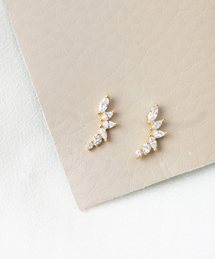 Gifting Earring Set